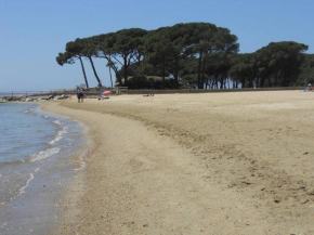 La Londe les pieds dans l'eau
